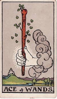 Ace of Wands tarot card