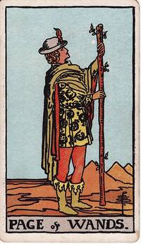 Page of Wands tarot card